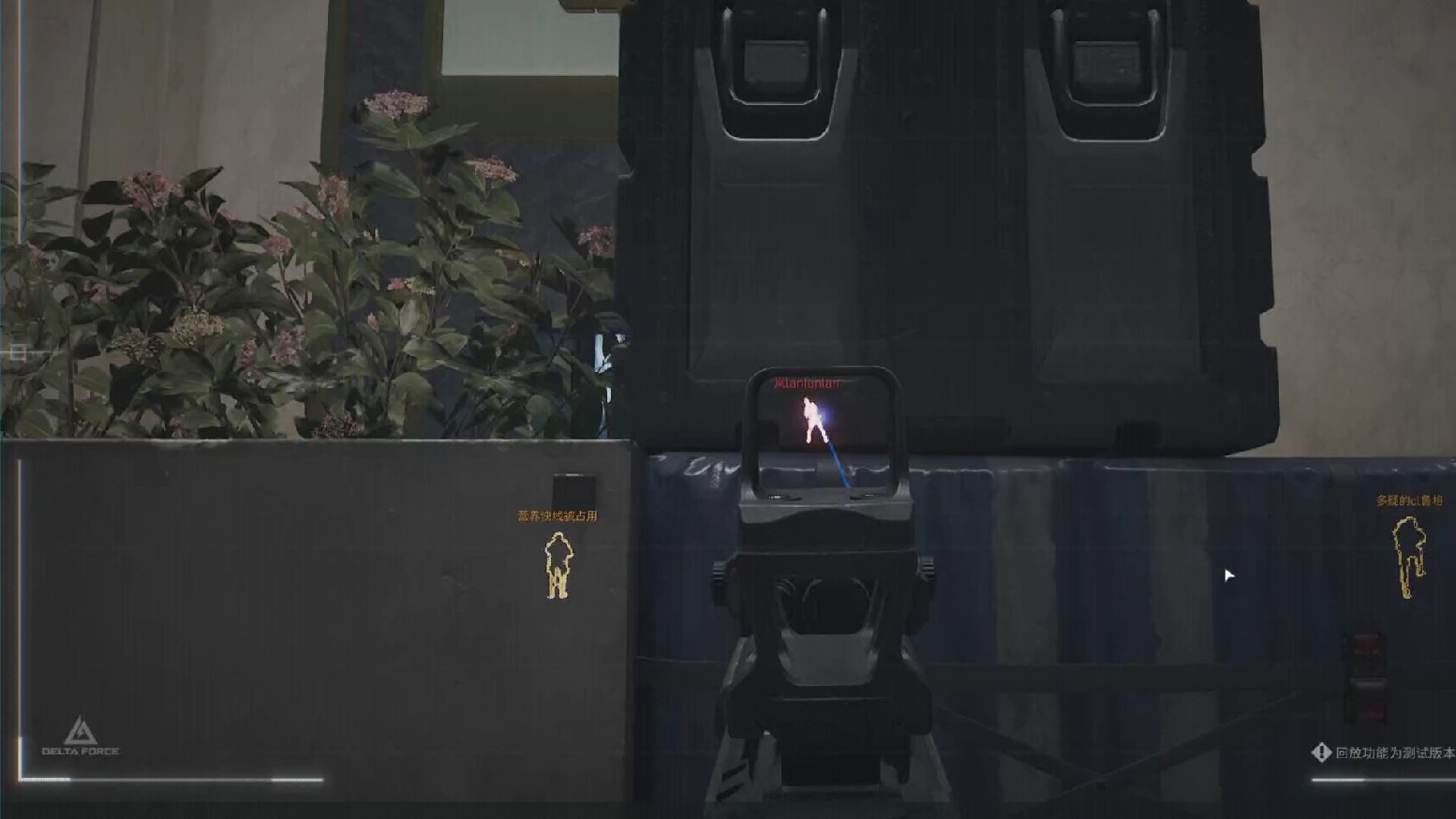 菜地蚂蚁用什么药可以杀死